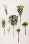Accent Combo in Sage & Green (Set of 44)