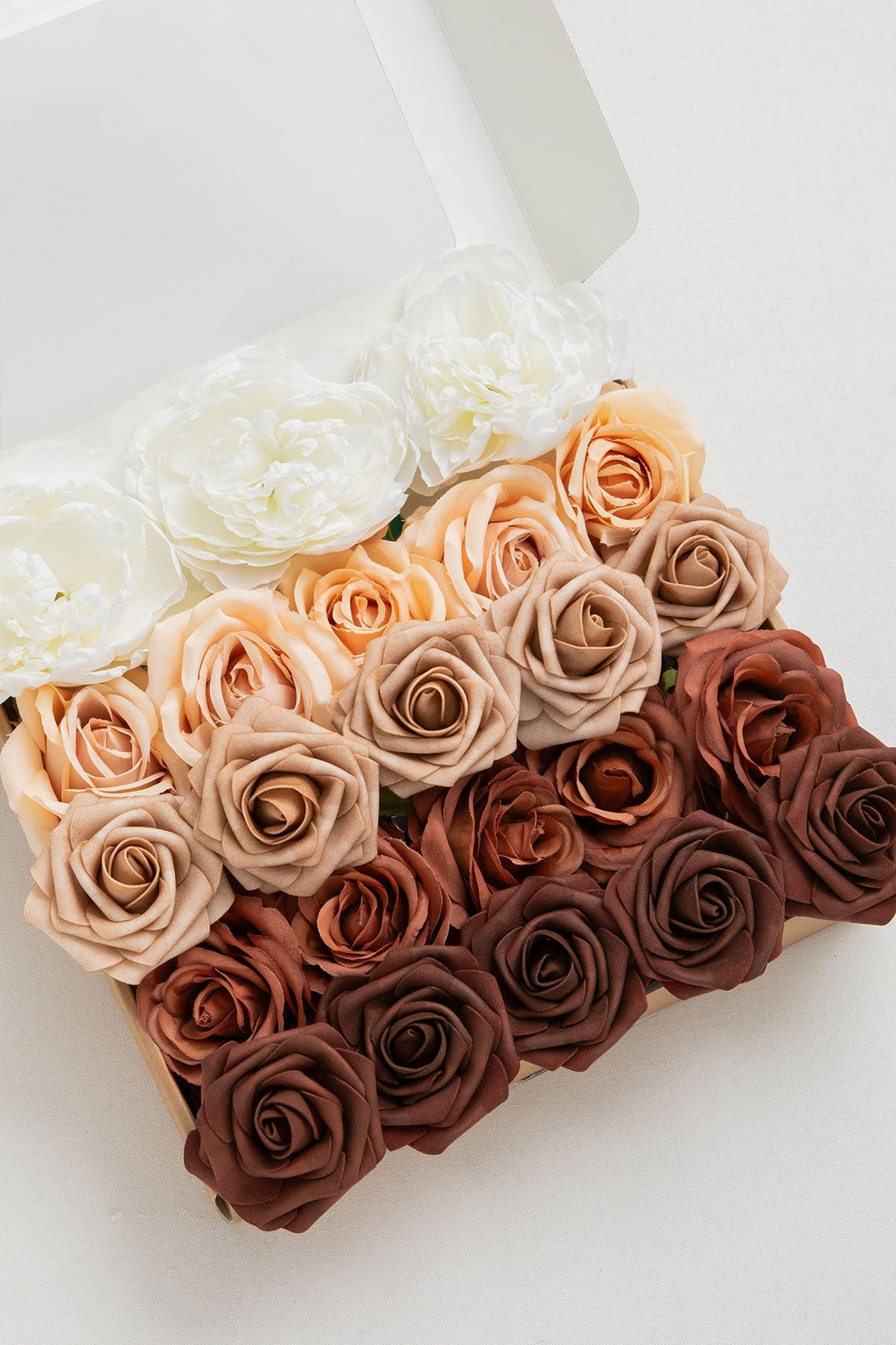 5-in-1 Quintet Floral Boxes - Terracotta
